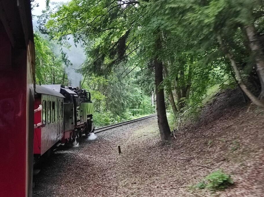 Ferienhaus Hoher Weg - Urlaub, Wandern, Downhill Und Workation Am Nationalpark Harz ซังคท์อันเดรอัสแบร์ก ภายนอก รูปภาพ