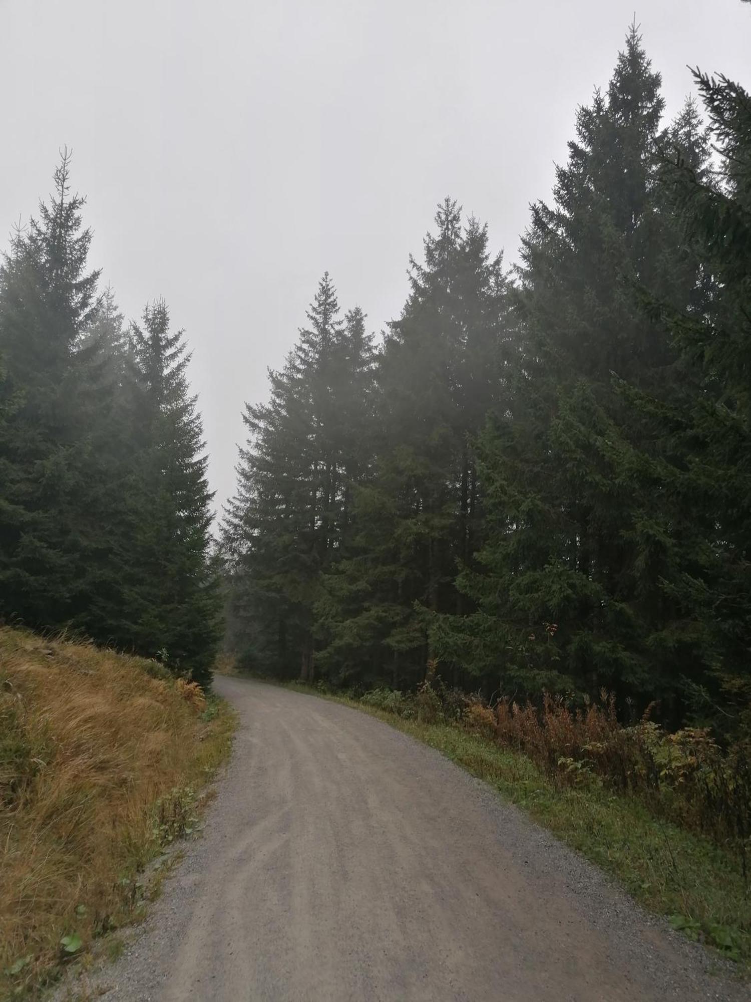 Ferienhaus Hoher Weg - Urlaub, Wandern, Downhill Und Workation Am Nationalpark Harz ซังคท์อันเดรอัสแบร์ก ภายนอก รูปภาพ