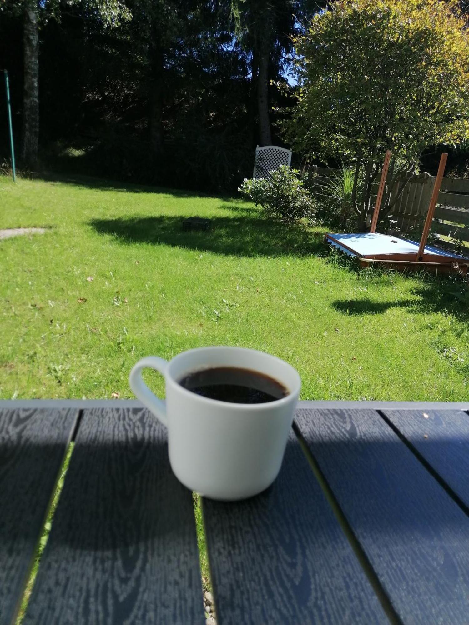 Ferienhaus Hoher Weg - Urlaub, Wandern, Downhill Und Workation Am Nationalpark Harz ซังคท์อันเดรอัสแบร์ก ภายนอก รูปภาพ